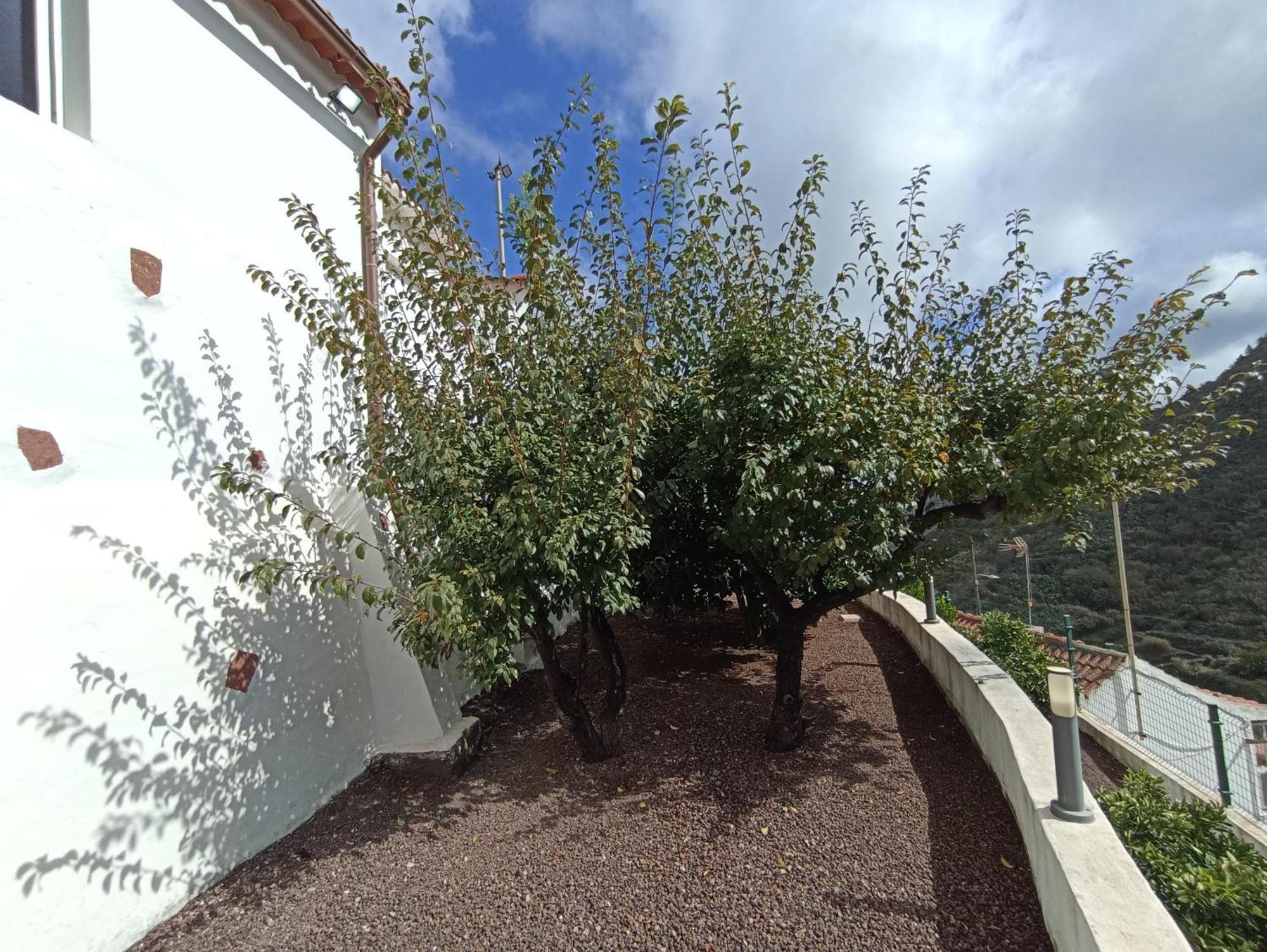 Casa Rural La Yedra San Mateo Arbejales ภายนอก รูปภาพ