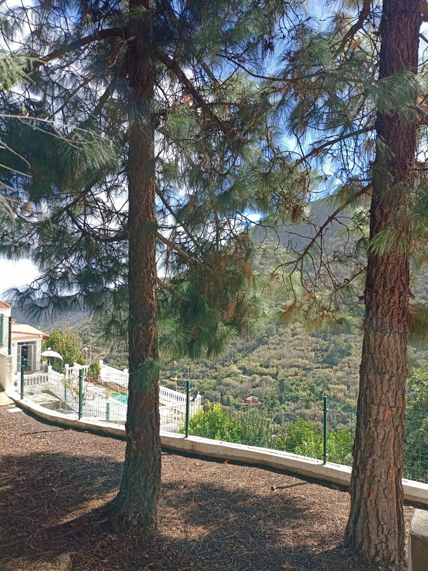 Casa Rural La Yedra San Mateo Arbejales ภายนอก รูปภาพ