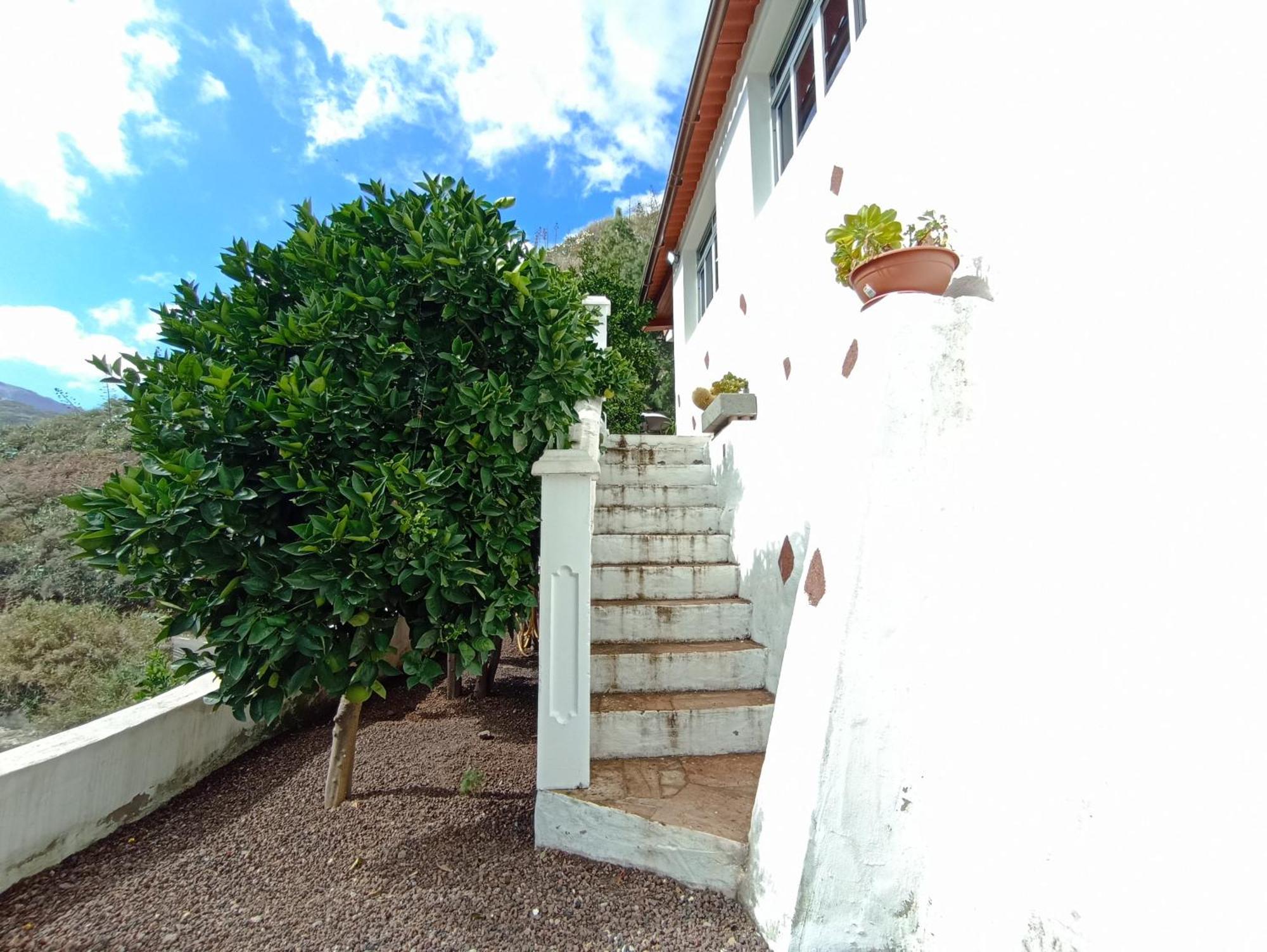 Casa Rural La Yedra San Mateo Arbejales ภายนอก รูปภาพ
