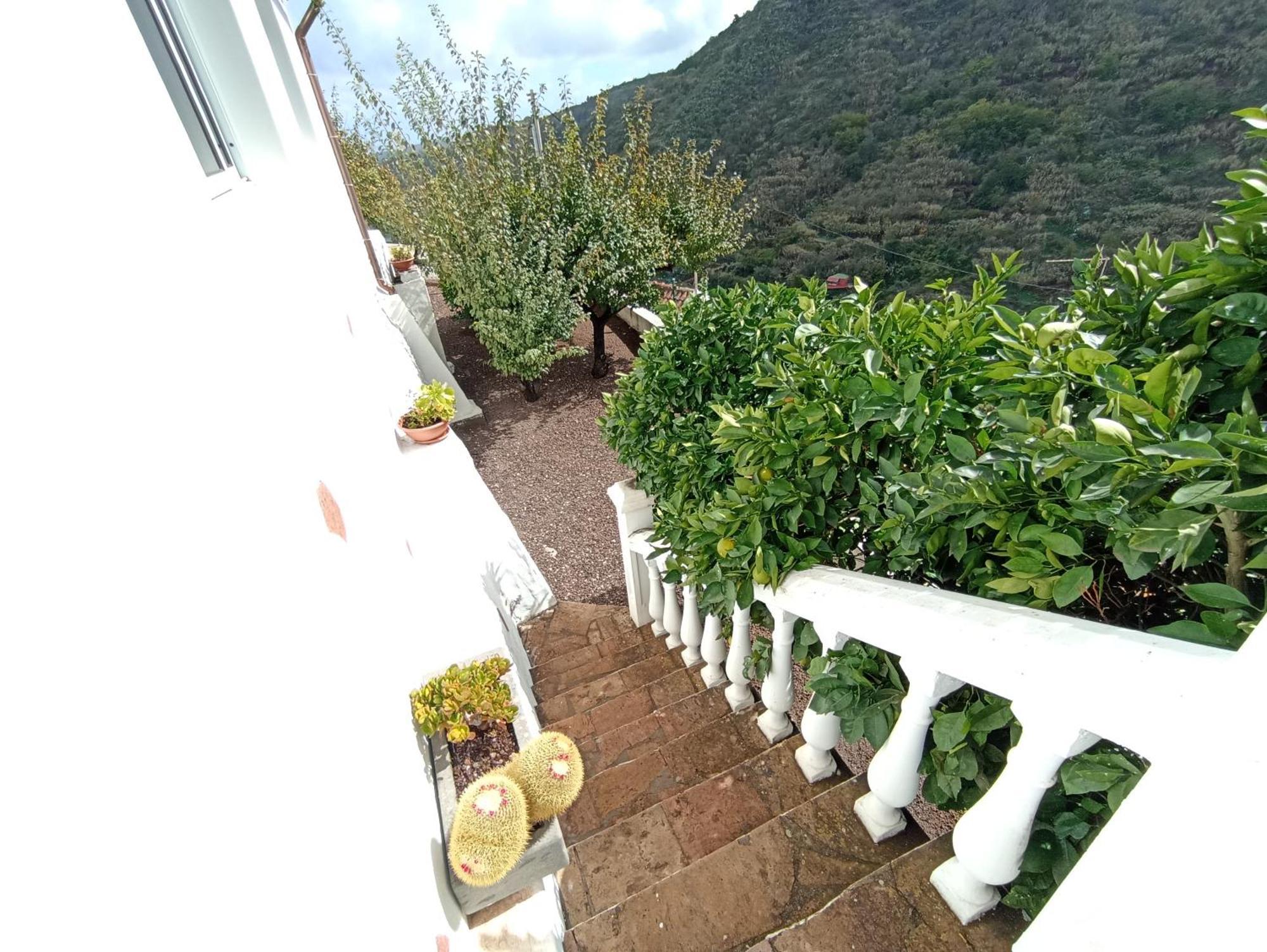 Casa Rural La Yedra San Mateo Arbejales ภายนอก รูปภาพ